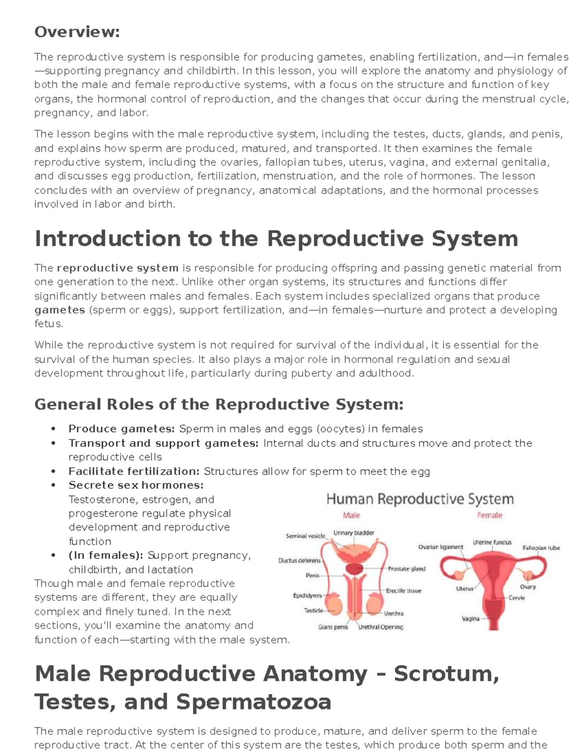 Lesson 9: Anatomy & Physiology of the Reproductive System - Studocu