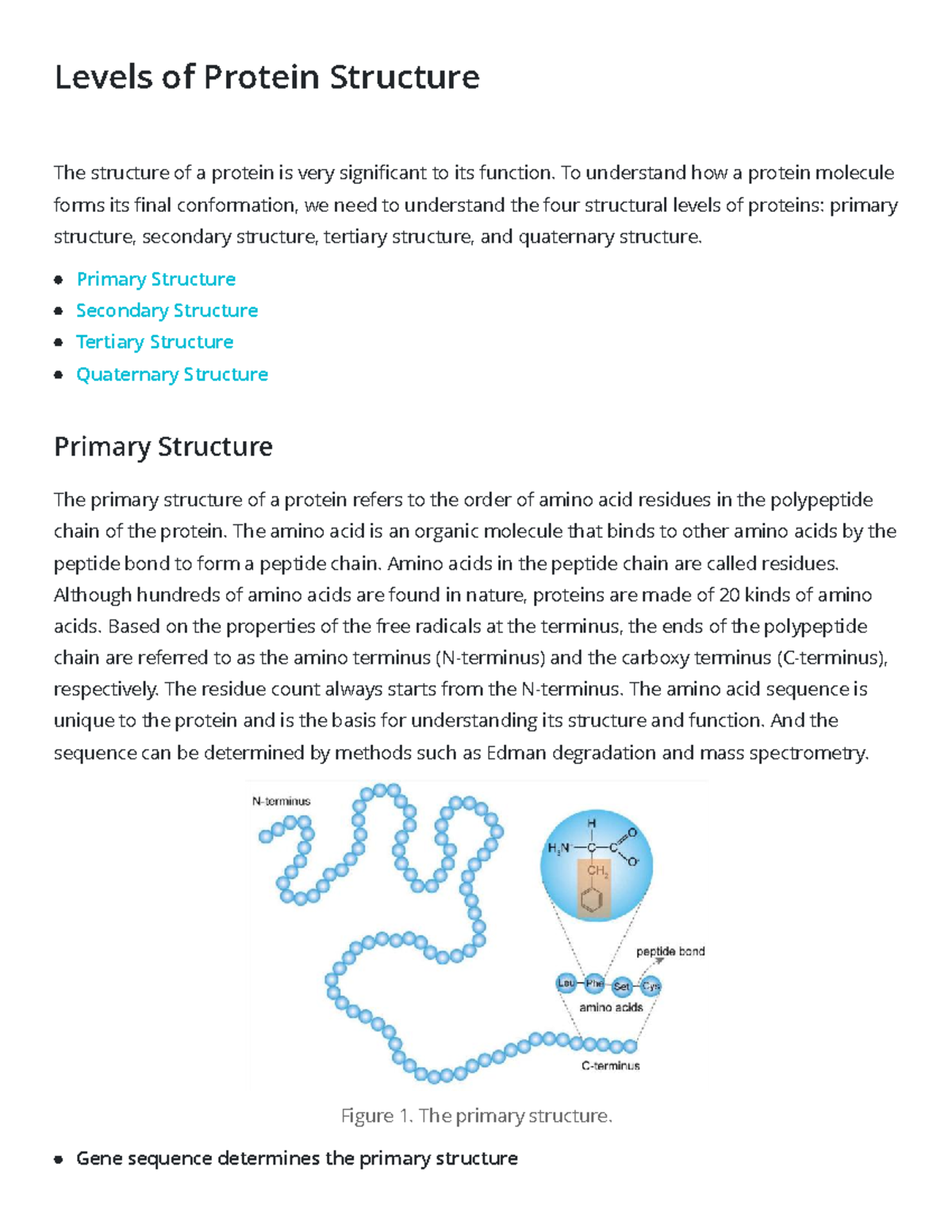 Levels of Protein Structure: Understanding BIC 201 Concepts - Studocu