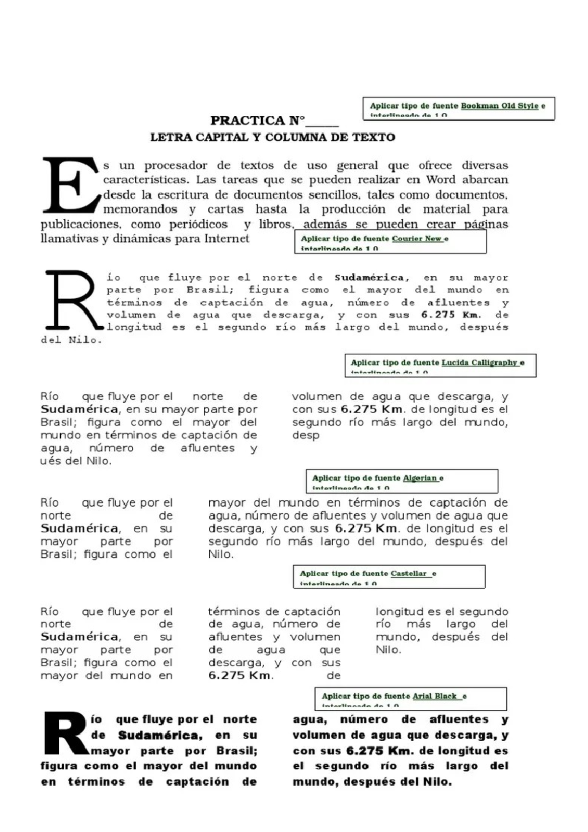 Letra Capital y Tipos de Fuente - Ejercicios Prácticos - Studocu