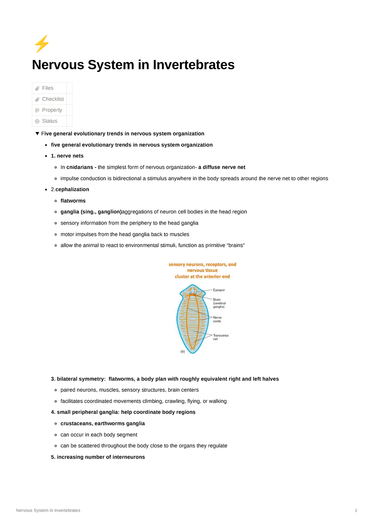 Lecture Notes on Nervous System in Invertebrates (Lectures 1-6) - Studocu