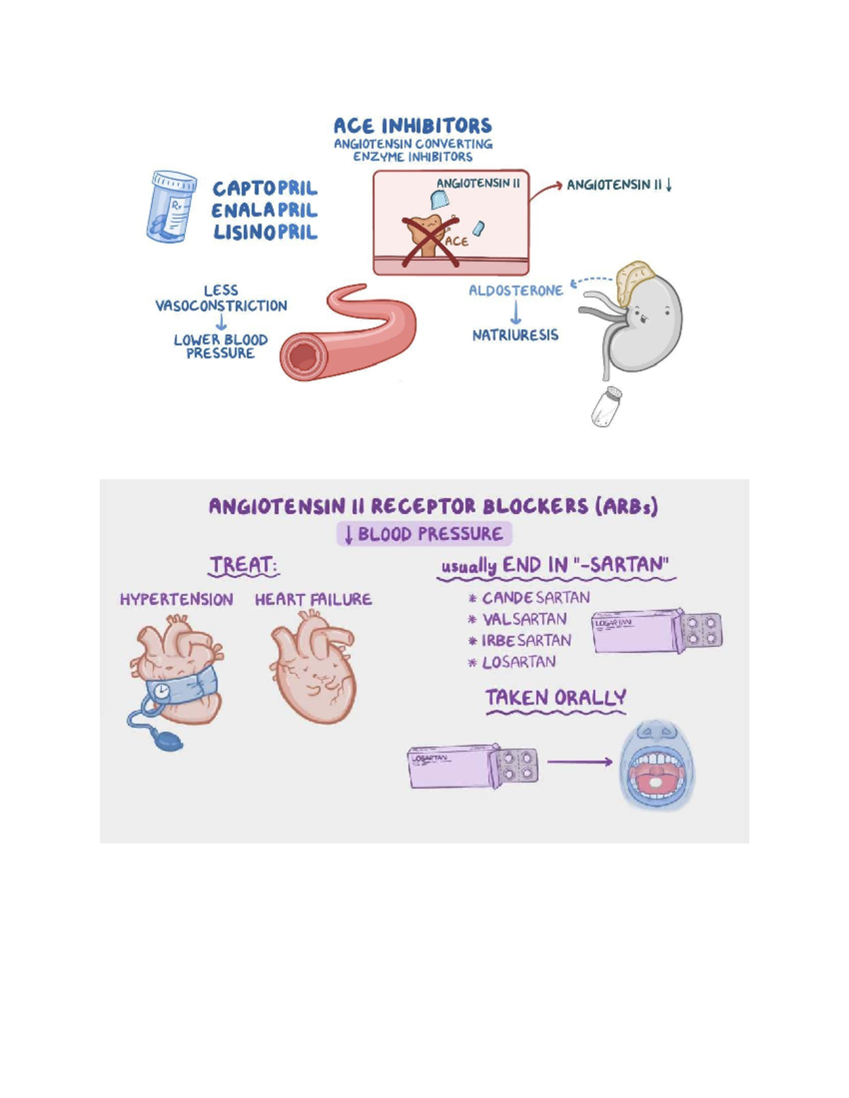 ACE Inhibitors and ARBs: Key Antihypertensive Classes Overview - Studocu