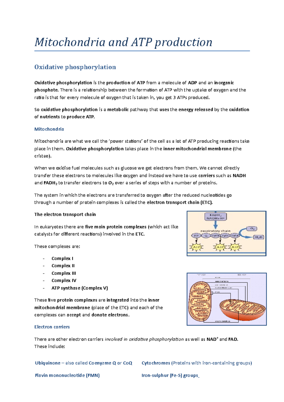 1 Mitochondria and ATP production - Mitochondria and ATP production ...