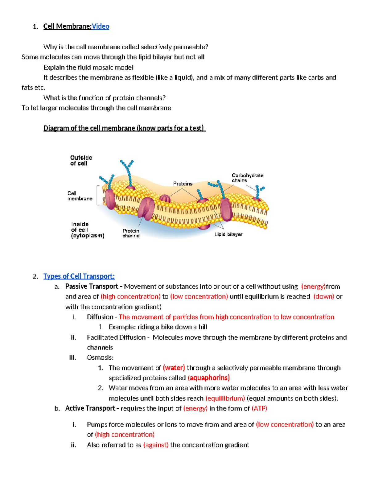 Cell Membrane & Transport Notes (BIO 101) - 2025-2026 - Studocu