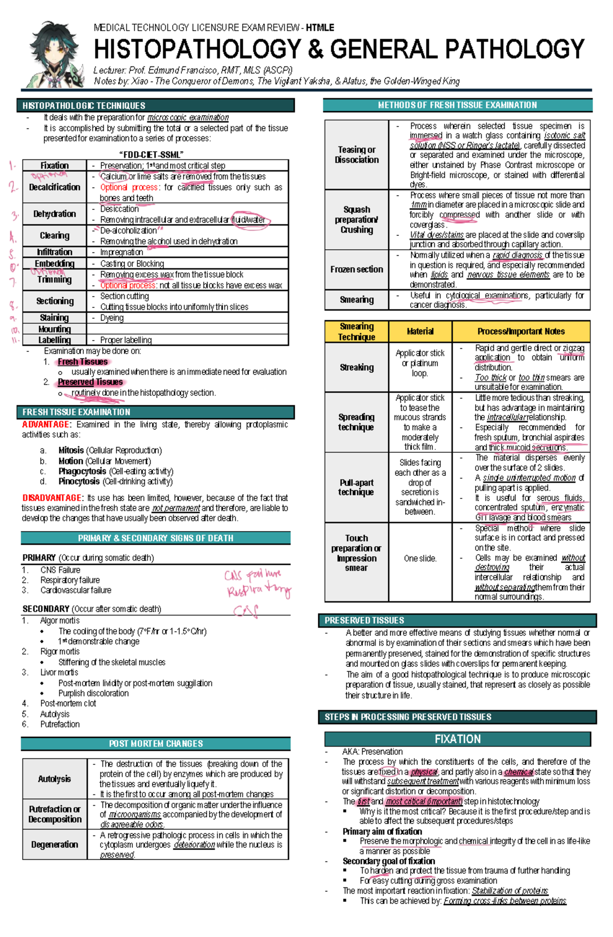 MTLE Final Exam Review: Histopathology & General Pathology Notes - Studocu