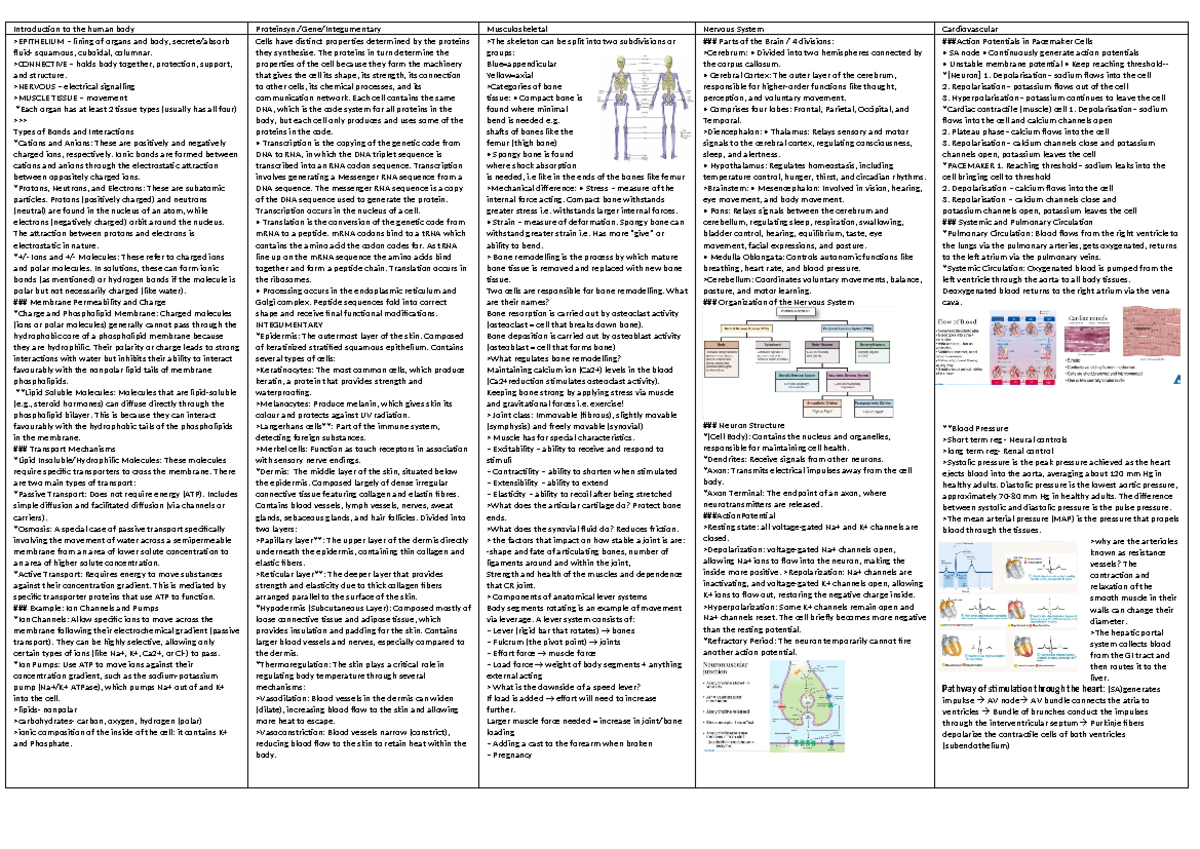 BM 101 Final Exam Study Notes: Human Body Systems Overview - Studocu