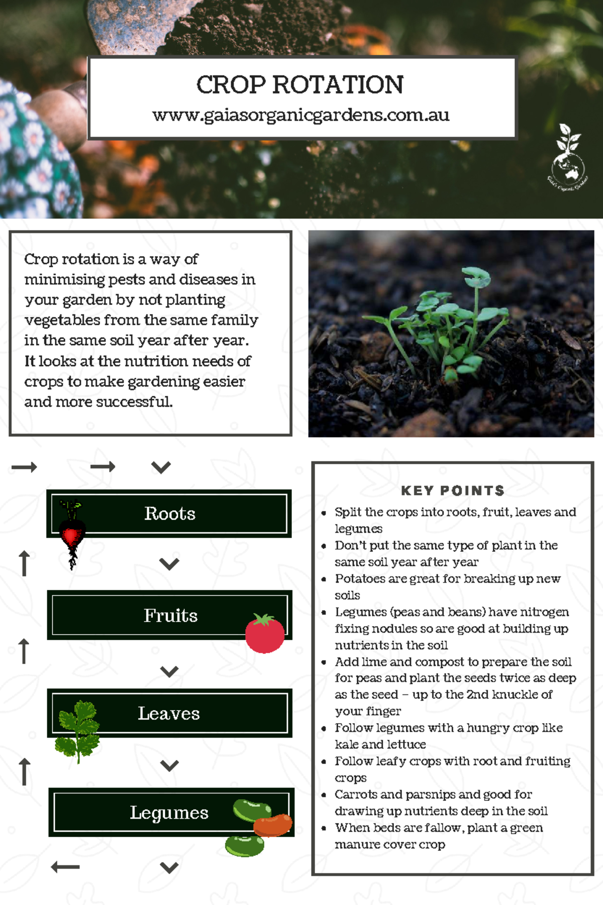 CROP ROTATION: Strategies for Healthy Gardening Practices - Studocu