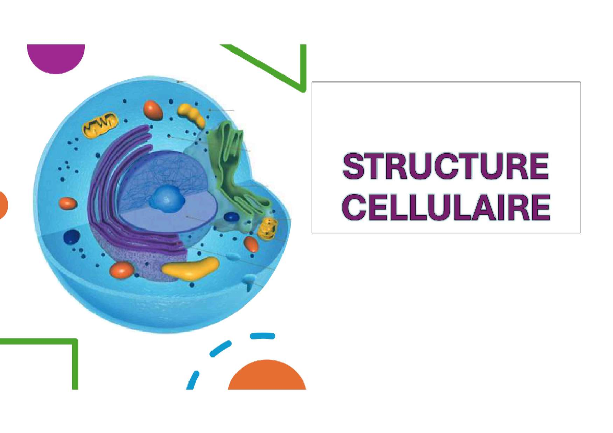 Biologie Cellulaire: Structure et Microscopie - Studocu