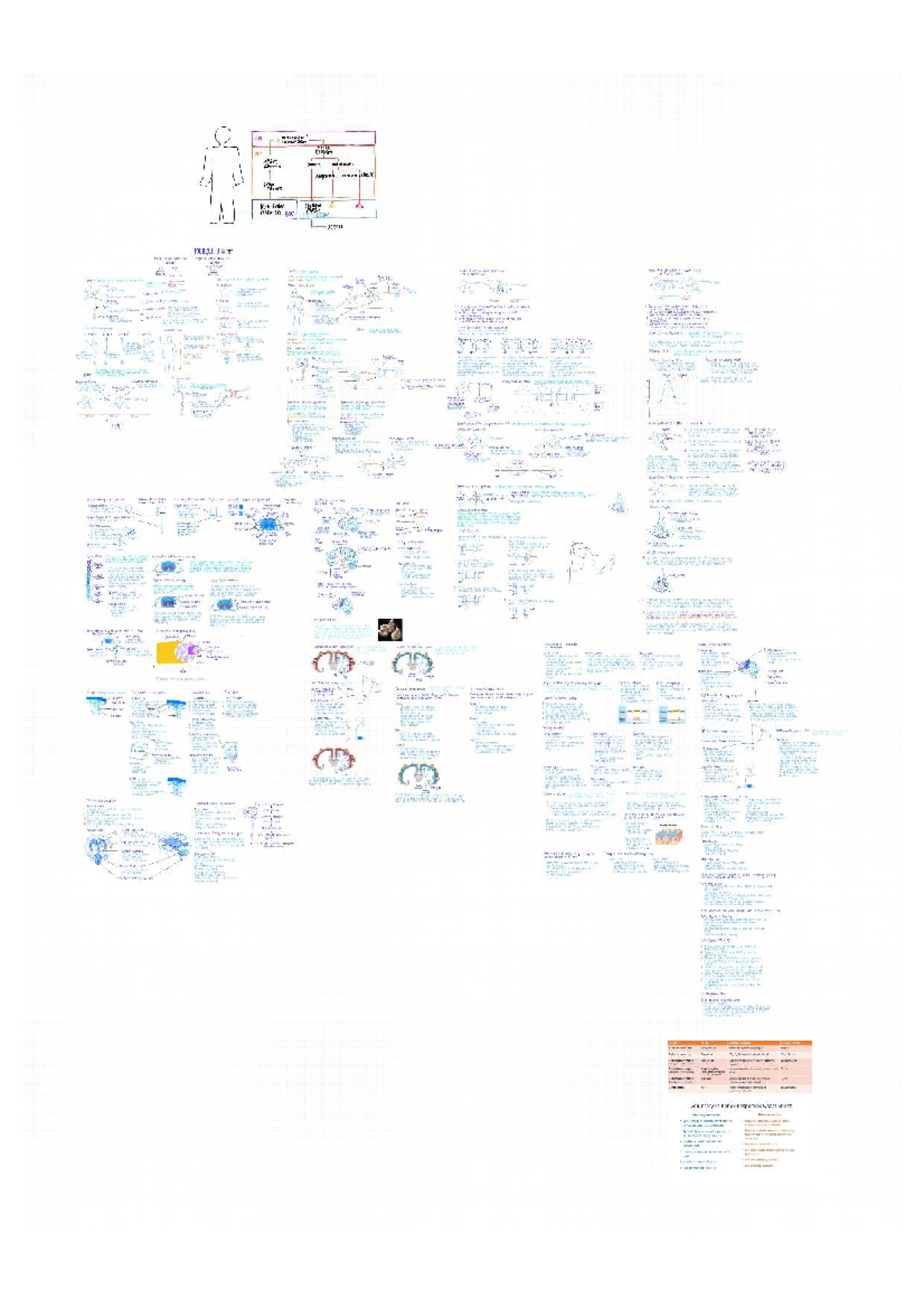 CNS Coordination & PNS Responses Cheat Sheet - Module 3 - Studocu