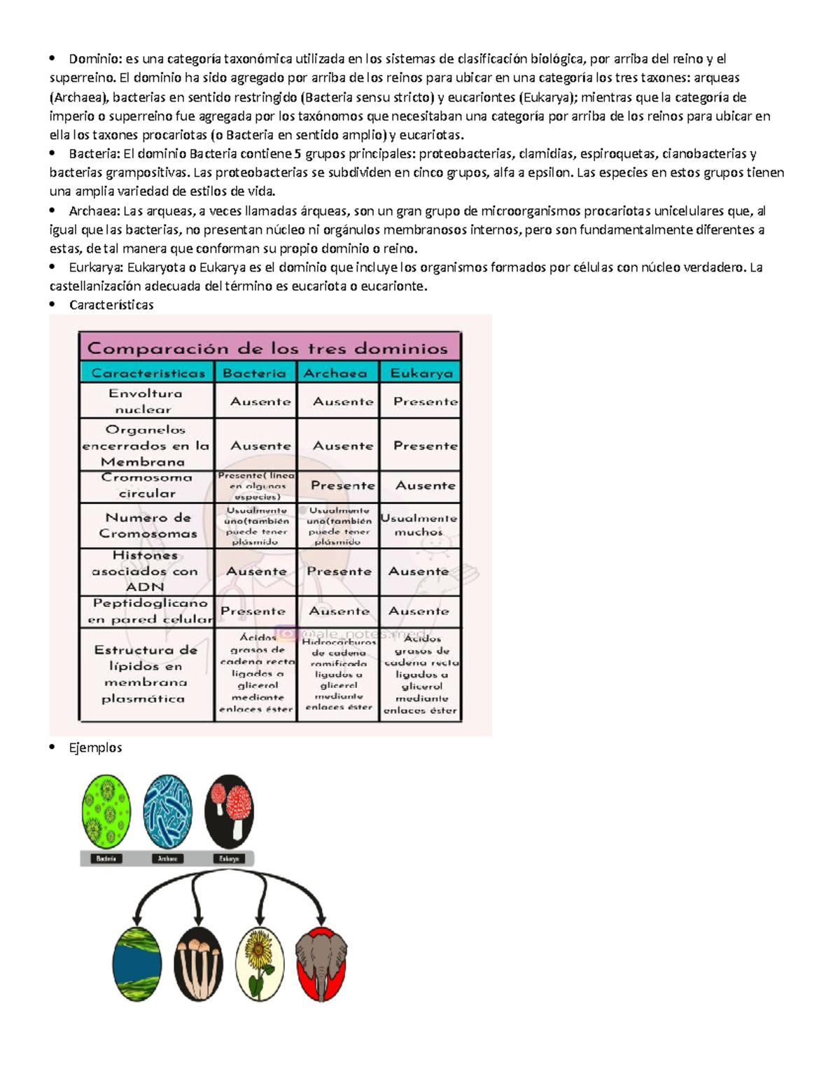 Dominio y Clasificación Biológica: Arqueas, Bacterias y Eucariontes -  Studocu