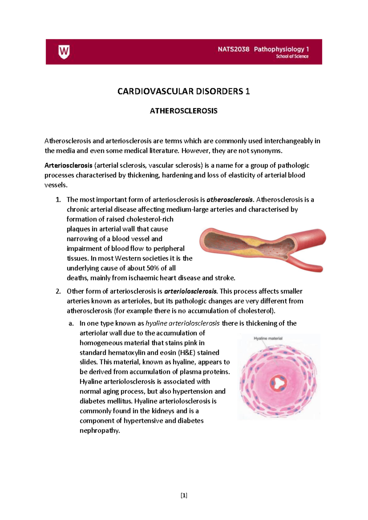 CARDIOVASCULAR DISORDERS 1: ATHEROSCLEROSIS NOTES - Studocu
