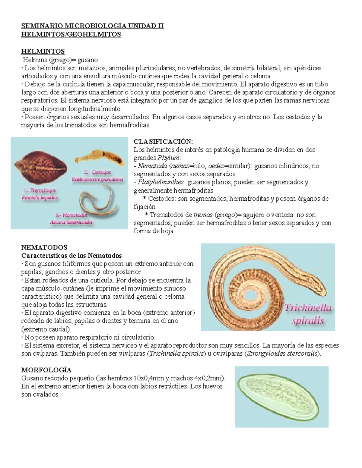 Storytime: Gatito hermafrodita (más o menos) : r/cats, image size:1200x1553