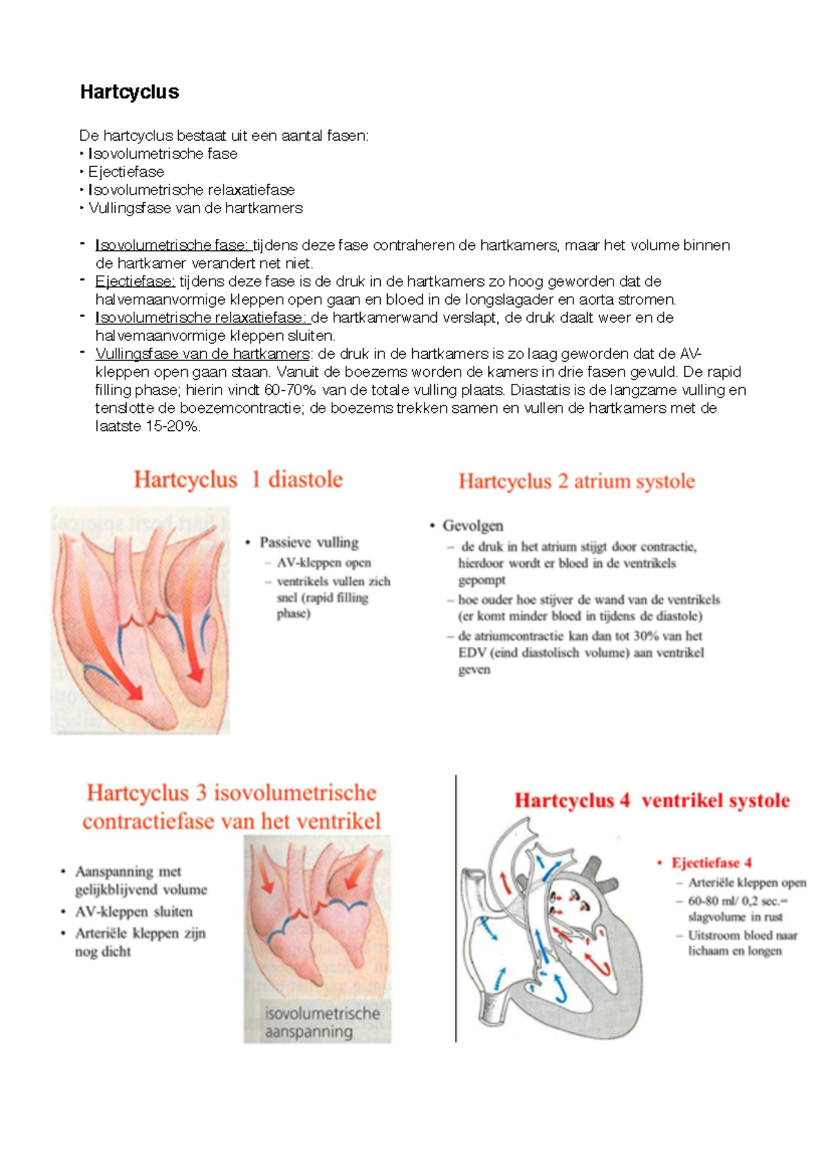 Hartcyclus: Fasen en Werking van de Hartcyclus - Biologie 101 - Studeersnel