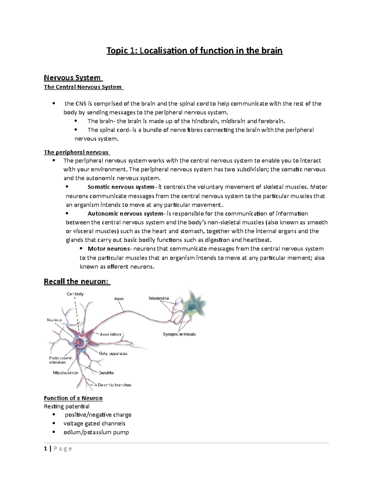 Topic 1 Unit 3: Brain Localisation and Function Overview - Studocu