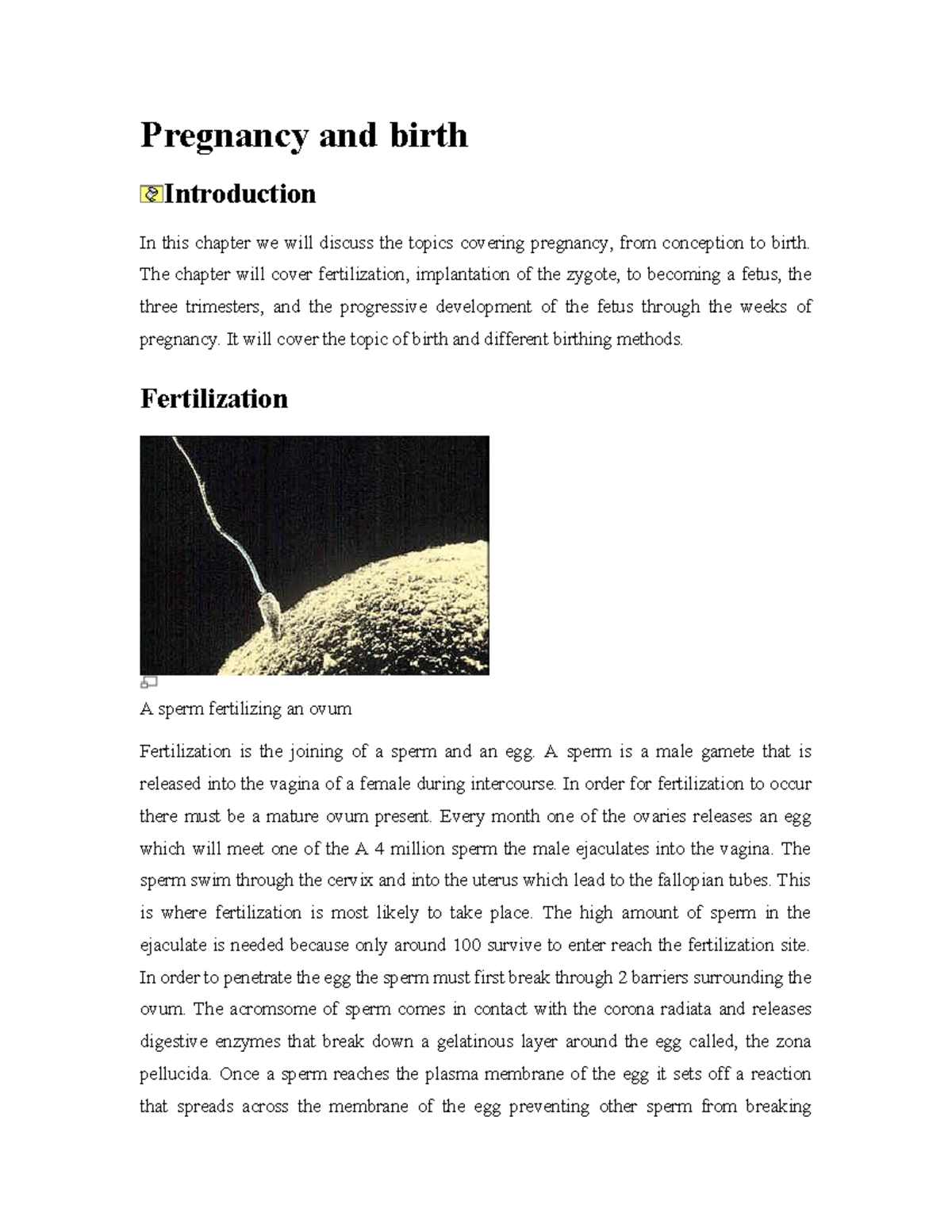 Pregnancy and Birth Overview: Key Concepts and Development Stages - Studocu
