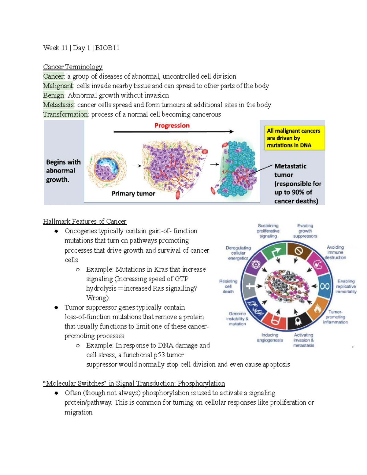 Week 11 Day 1 BIOB11 - Cancer Terminology and Signaling Pathways Notes ...