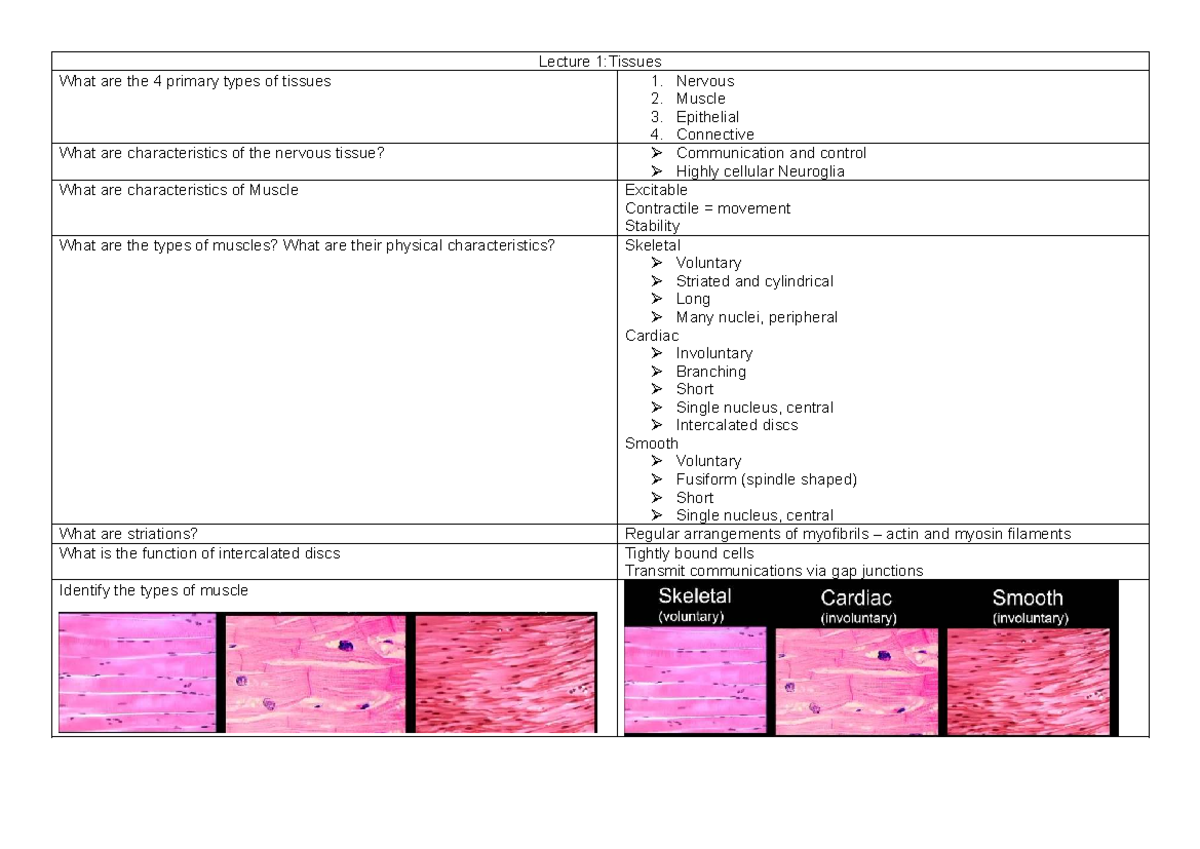 ANHB1102 L1 - Lecture on Primary Tissue Types and Characteristics - Studocu