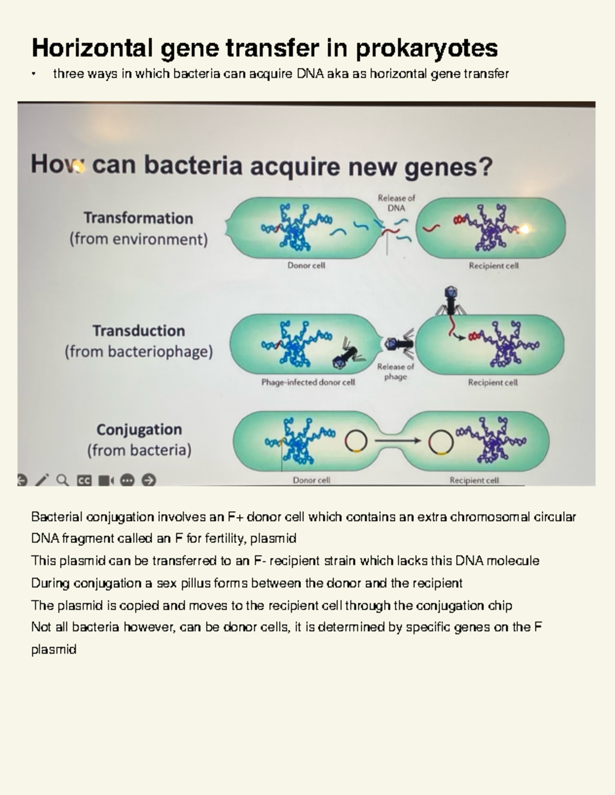 Concept 24 - lecture slides and addition notes on it - Horizontal gene ...