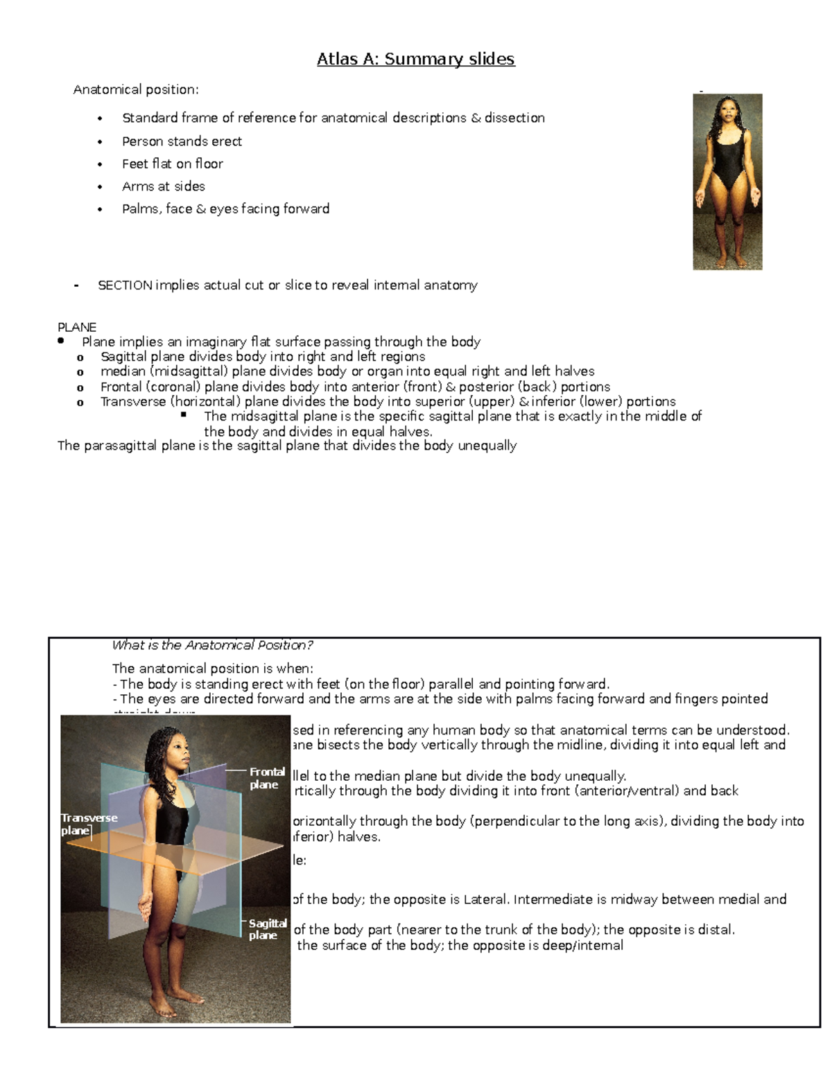 Atlas A - Lecture Notes 1: Anatomical Position and Terminology - Studocu