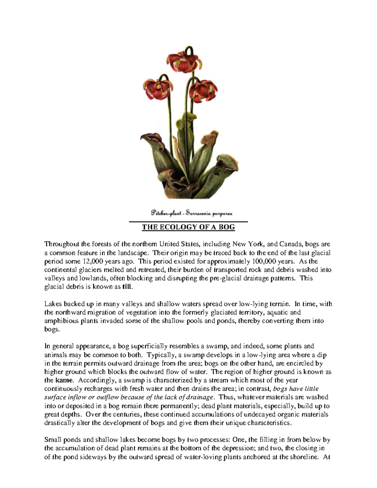 Ecology and Development of Bogs: A Detailed Overview (BIO 101) - Studocu