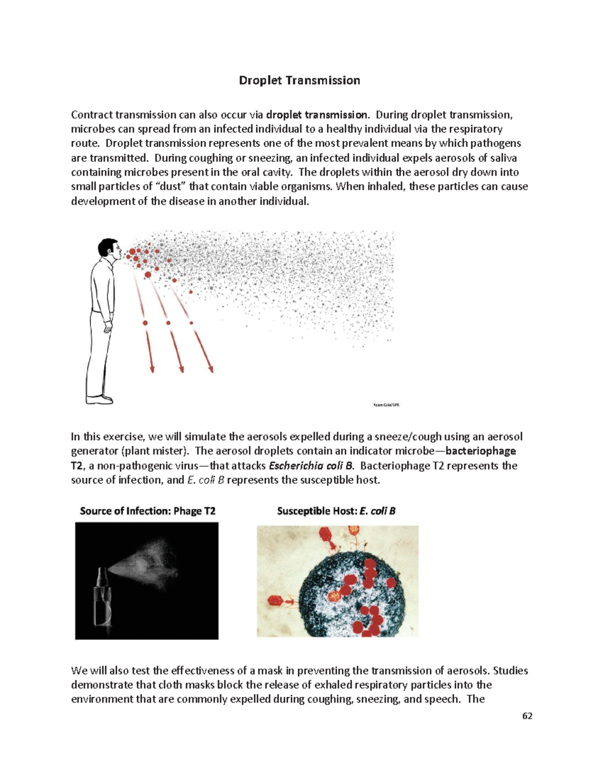 SP22 Lab Manual: Investigating Droplet Transmission and Masks - Studocu