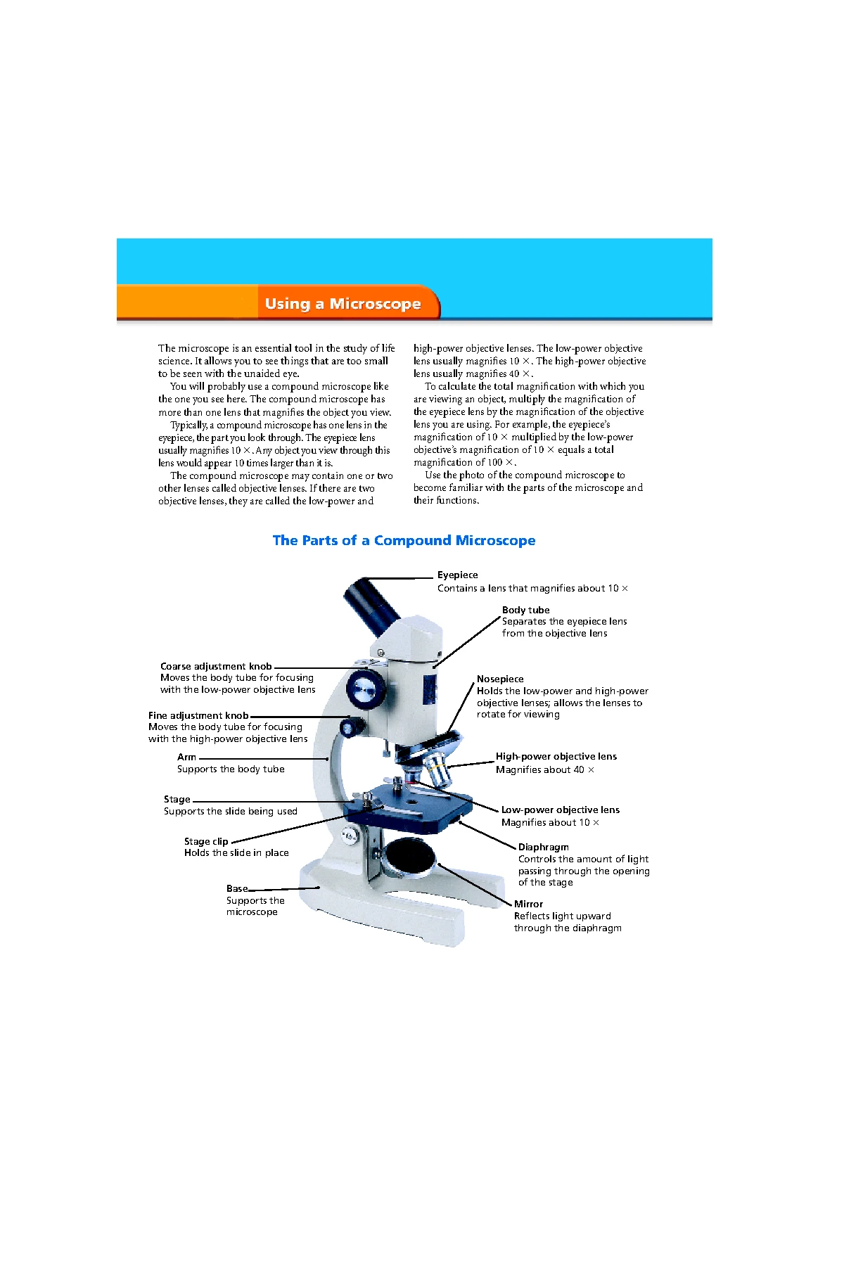 FYP Documentation Template for CS Program at University of Sialkot ...