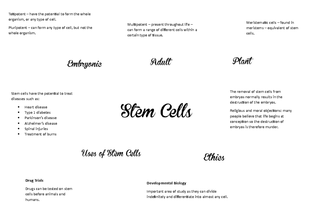 Stem Cells mindmap - Totipotent – have the potential to form the whole ...