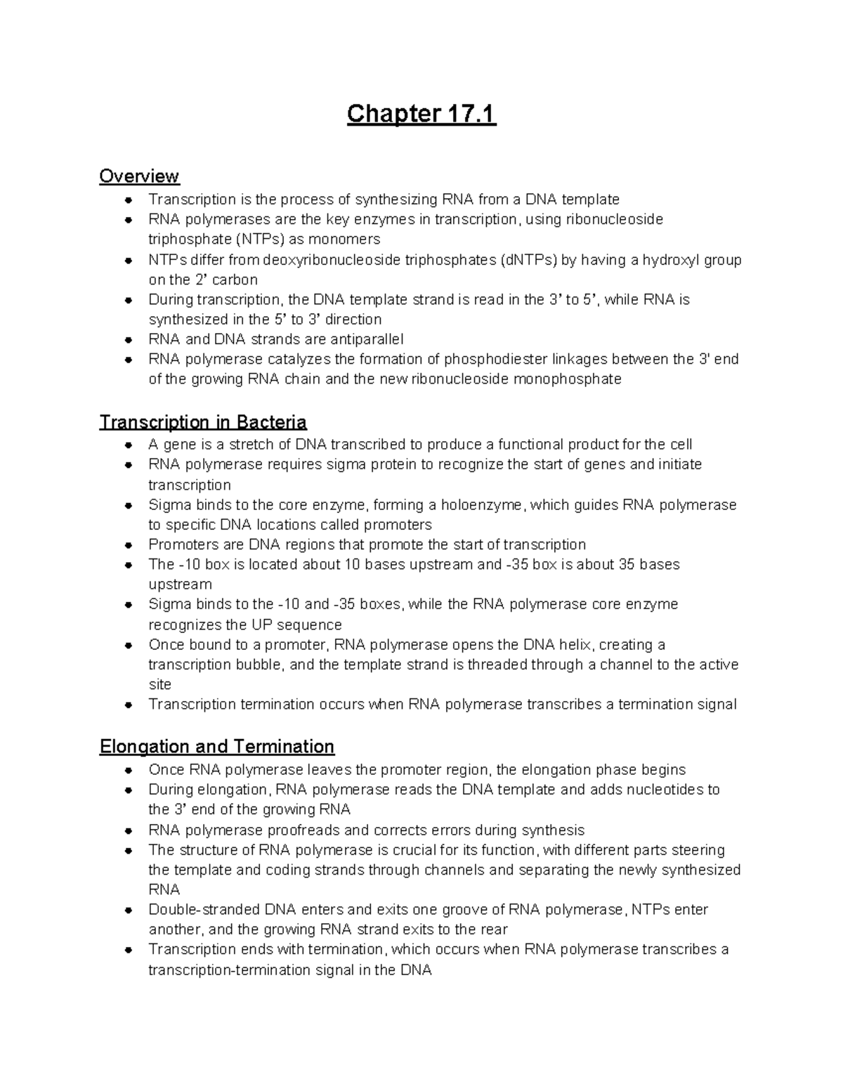 Chapter 17: Overview of Transcription and Translation Processes - Studocu
