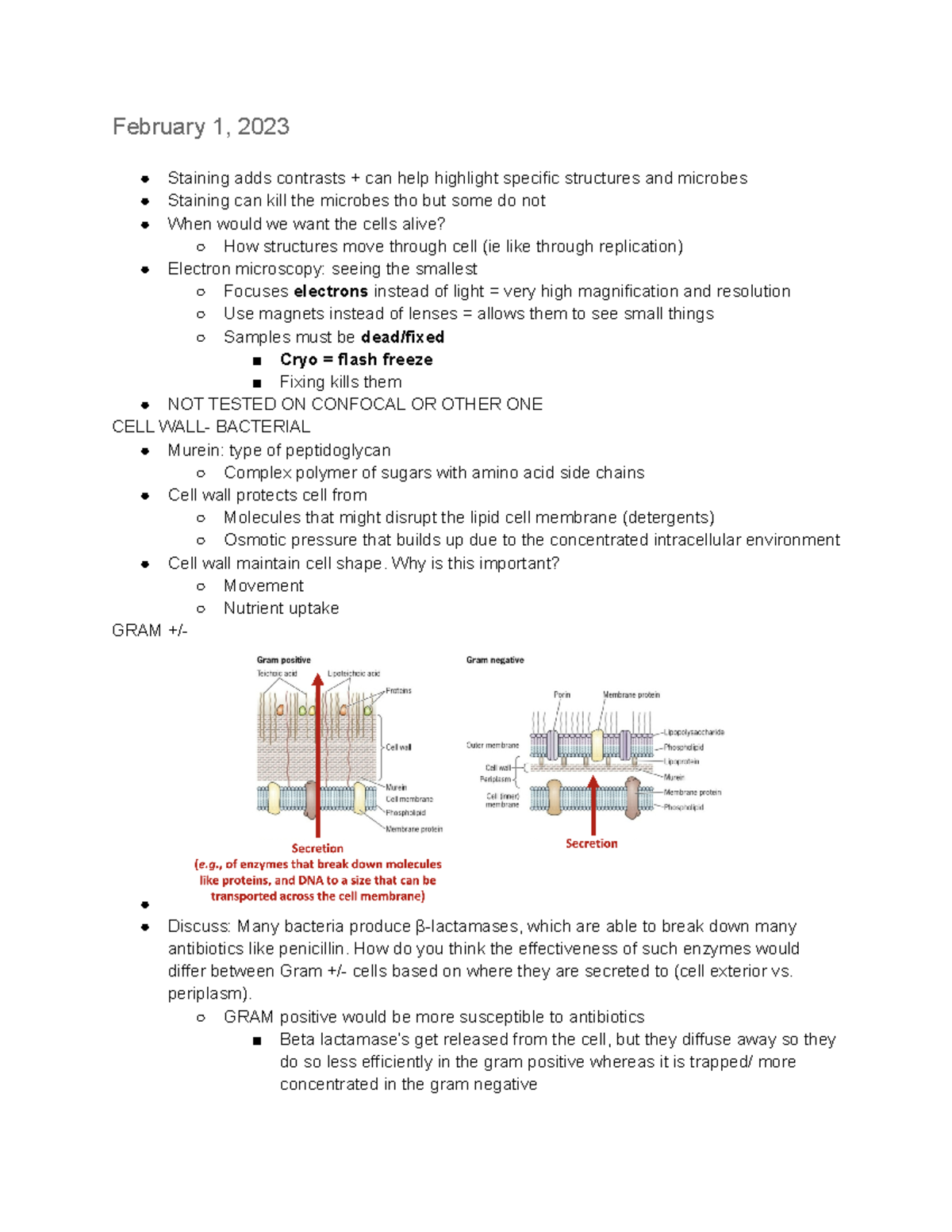 Microbiology Lecture Notes: Key Concepts and Exam Review - Studocu