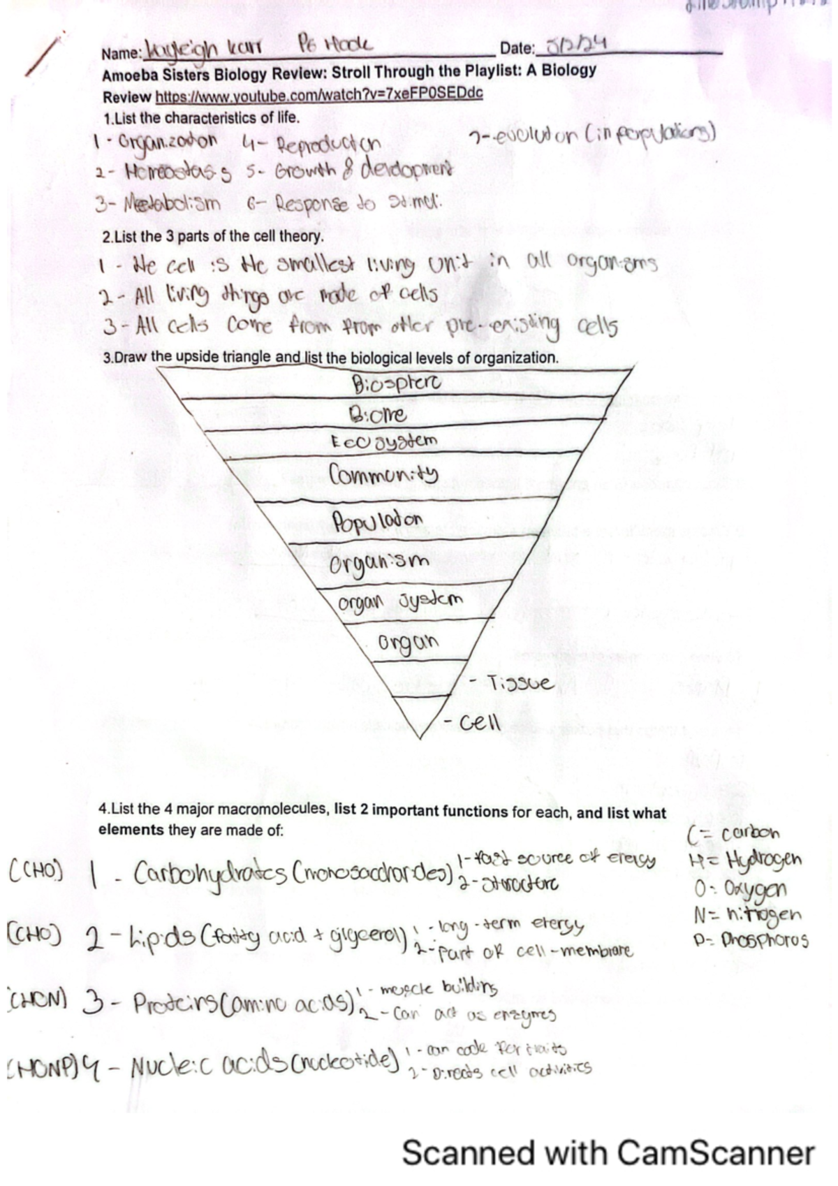 Amoeba Sisters Biology Review: Key Concepts & Definitions for P6 - Studocu