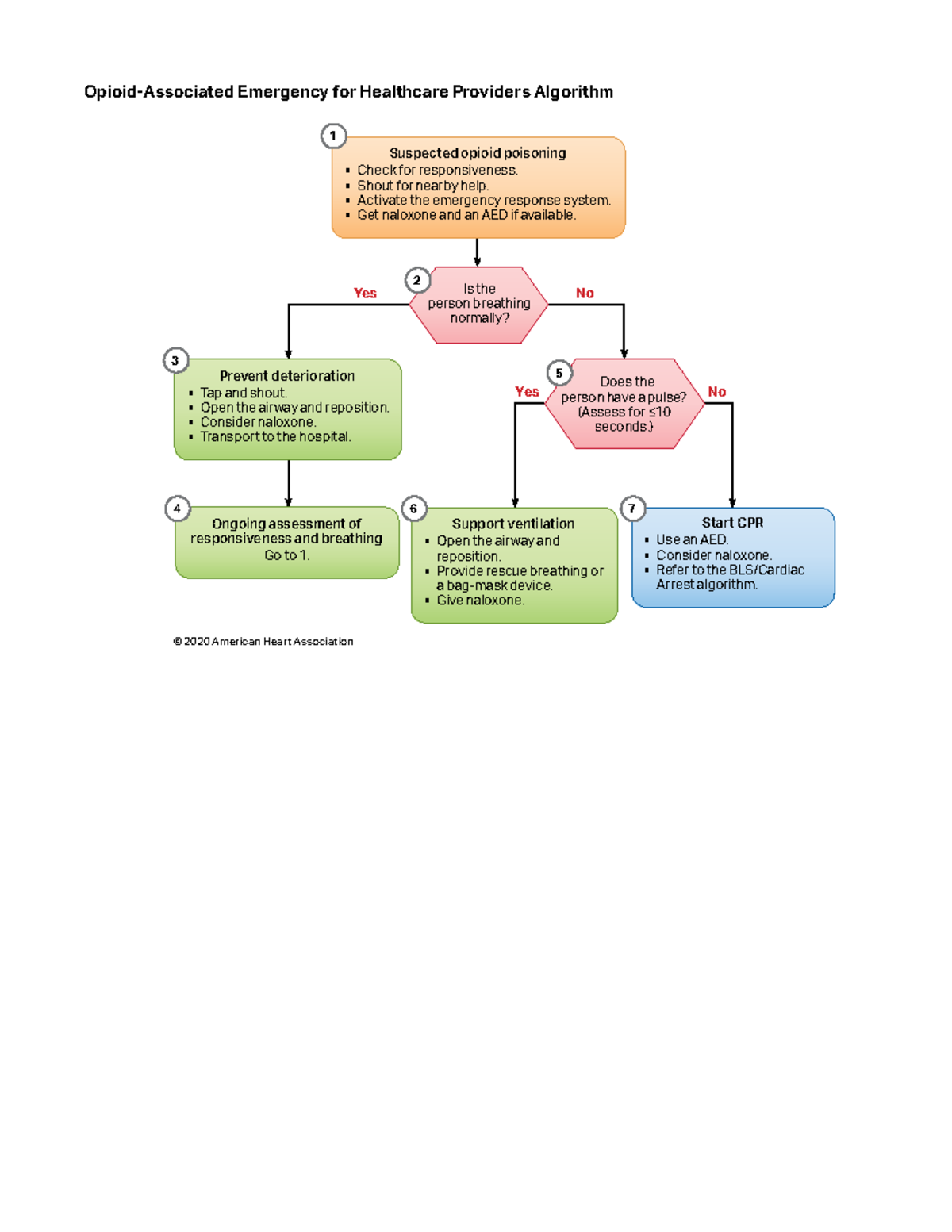 Opioid Emergency Response Algorithm for Healthcare Providers 2006 - Studocu