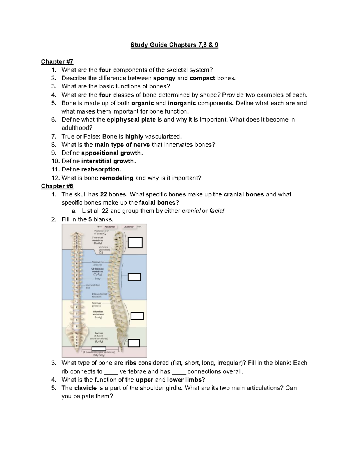 Study Guide for Exam #2: Anatomy Chapters 7, 8, & 9 - Studocu
