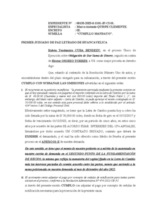 Escrito DE Ejecución DE Sentencia Laboral - EXPEDIENTE Nº : 00207- 2024