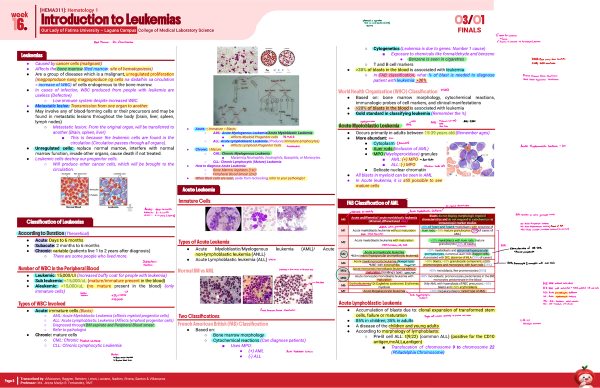 HEMA311 Finals: Comprehensive Overview of Leukemias and Their ...