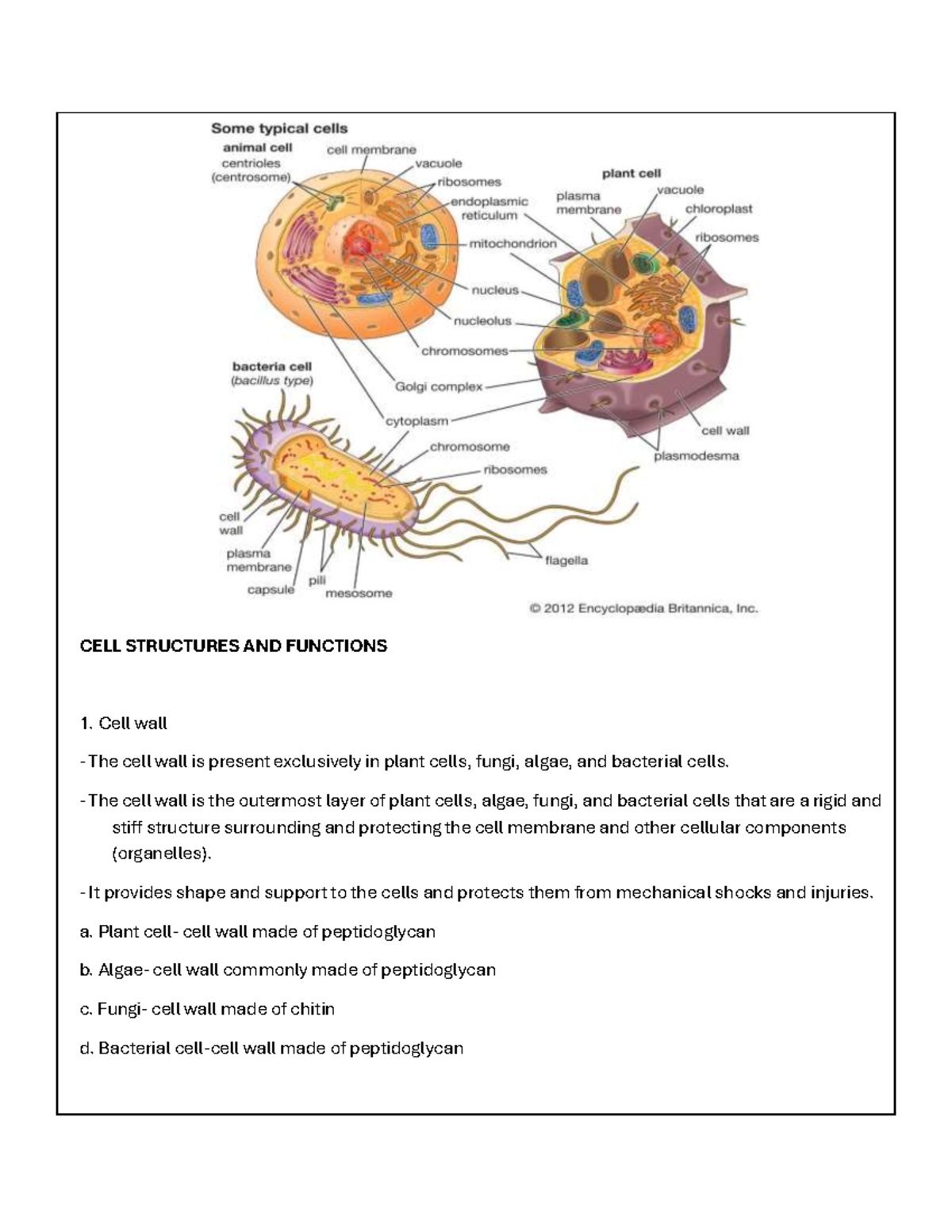 CELL STRUCTURES AND FUNCTIONS: Lecture Notes Week 2 - Studocu