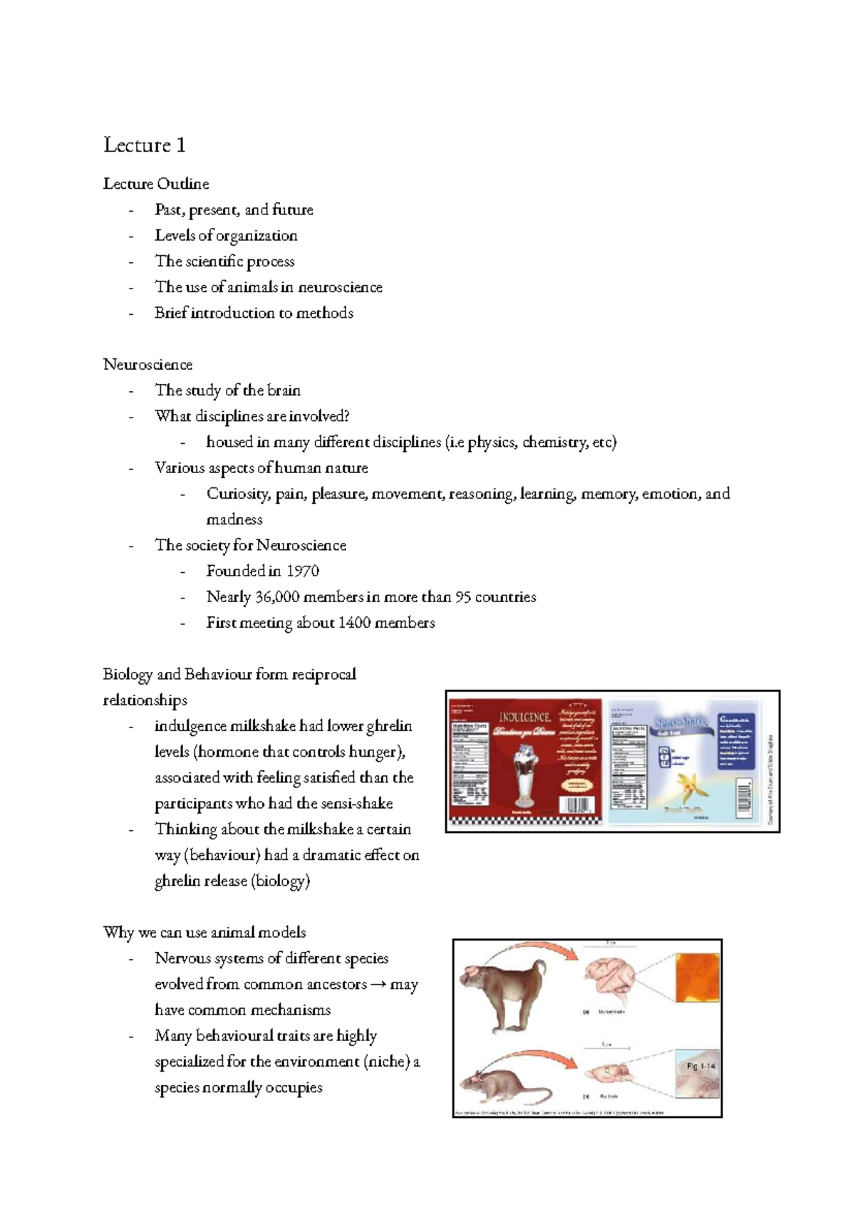 Neuroanatomy Lecture 4 Notes: Cortical Areas and Neuron Structure - Studocu