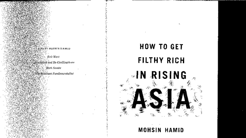 Mohsin Hamid's 