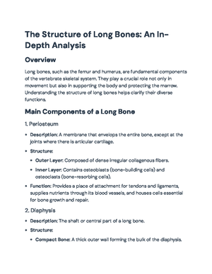 Human Skeletal System Overview: Structure, Classification, and ...