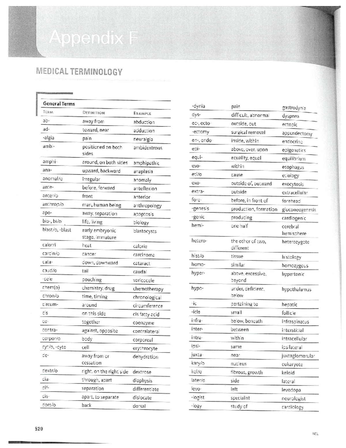 Medical Terminology Study Guide for Health Courses - Studocu