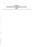[Solved] TEN VALUES OF THE SOUTH AFRICAN CONSTITUTION - Curriculum ...
