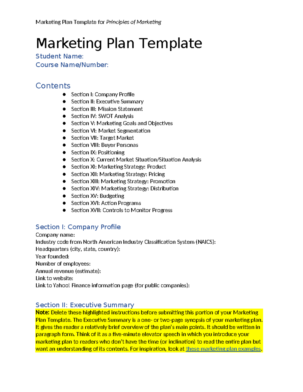 Marketing Plan Template for Principles of Marketing (Course Code: MKT ...