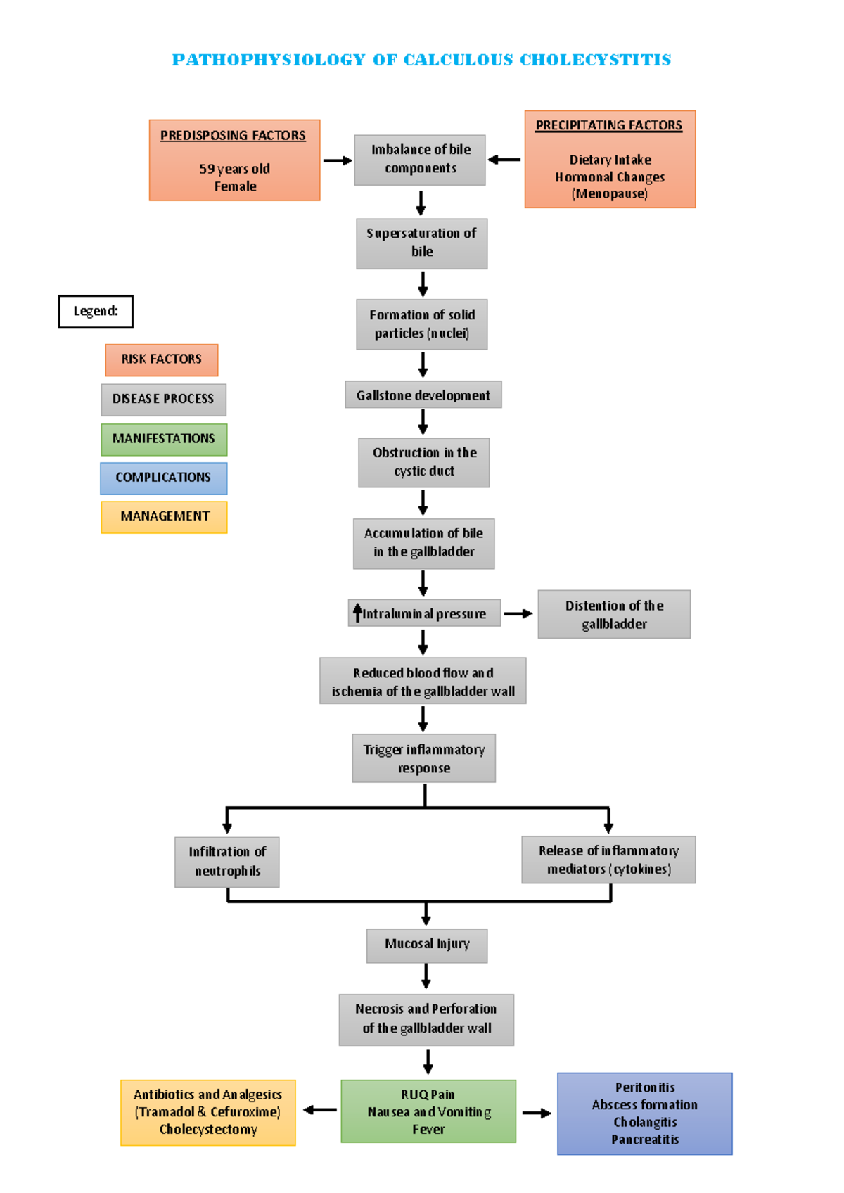 Pathophysiology of Calculous Cholecystitis: Key Concepts and ...