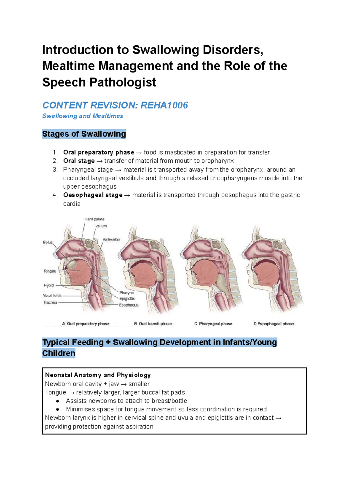Optimising Mealtimes: Lecture Notes on Swallowing Management - Studocu