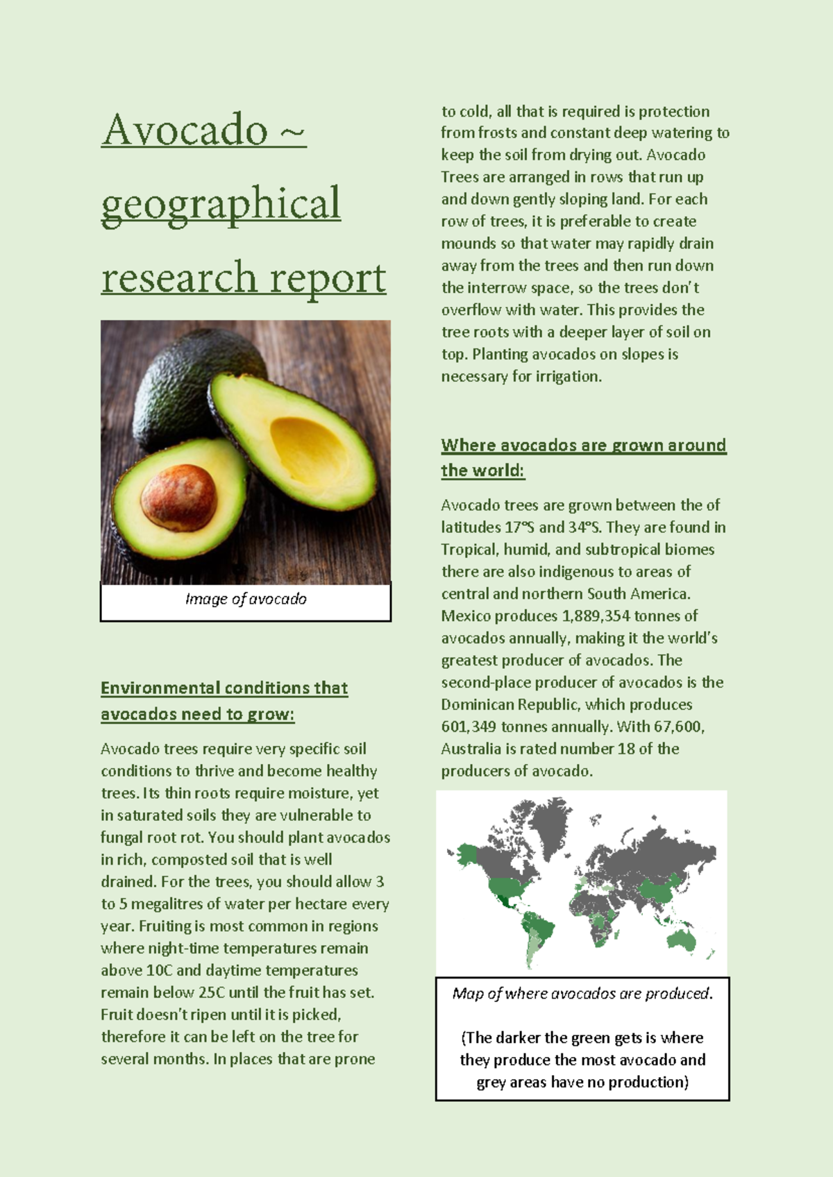 Final Report on Geographical Avocado Production Insights - Studocu