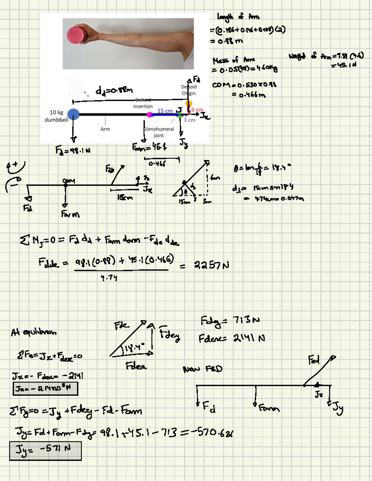 BMEG 101 Biomechanics Static Equilibrium Problem Analysis - Studocu