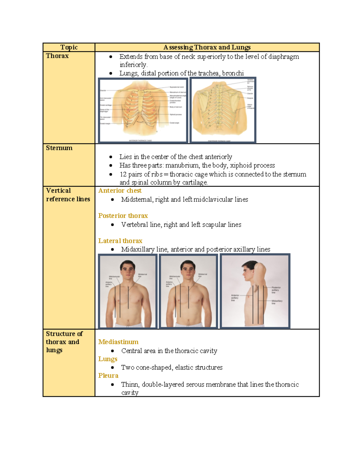 Comprehensive Health Assessment: Thorax and Lung Evaluation (HLTH 101 ...
