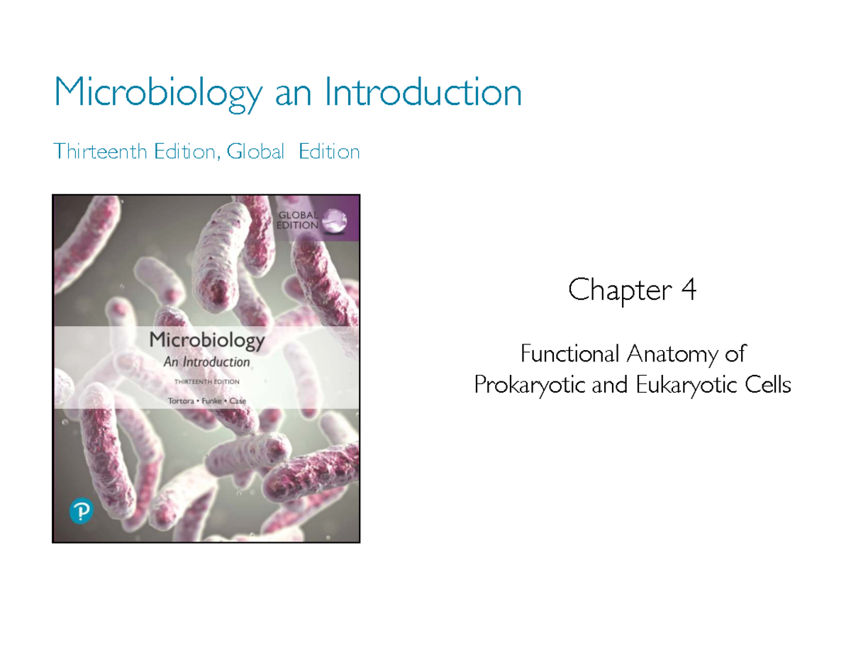 Microbiology: Functional Anatomy of Cells - Chapter 4 - Studocu
