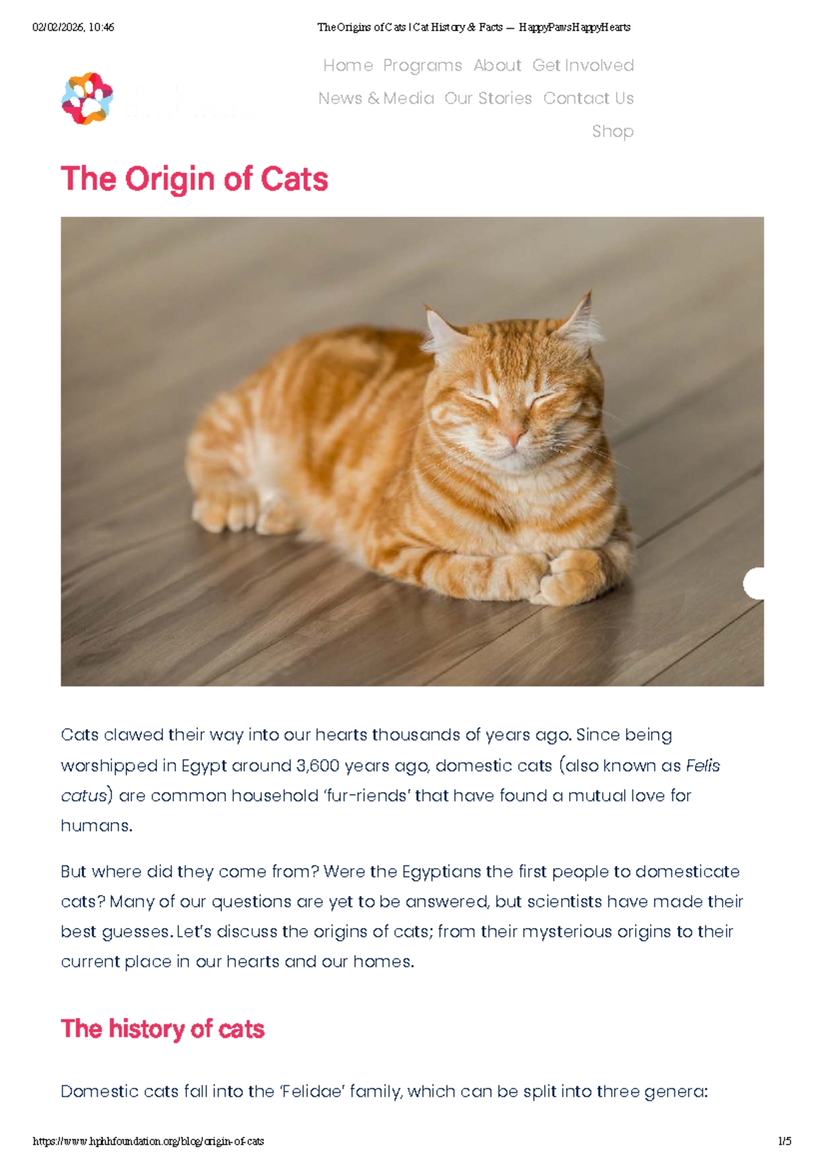 The Origins of Cats: History & Facts (HPHH) - Studocu