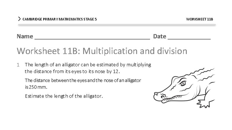CAMBRIDGE PRIMARY MATHEMATICS STAGE 5 WORKSHEET 11B - Studocu