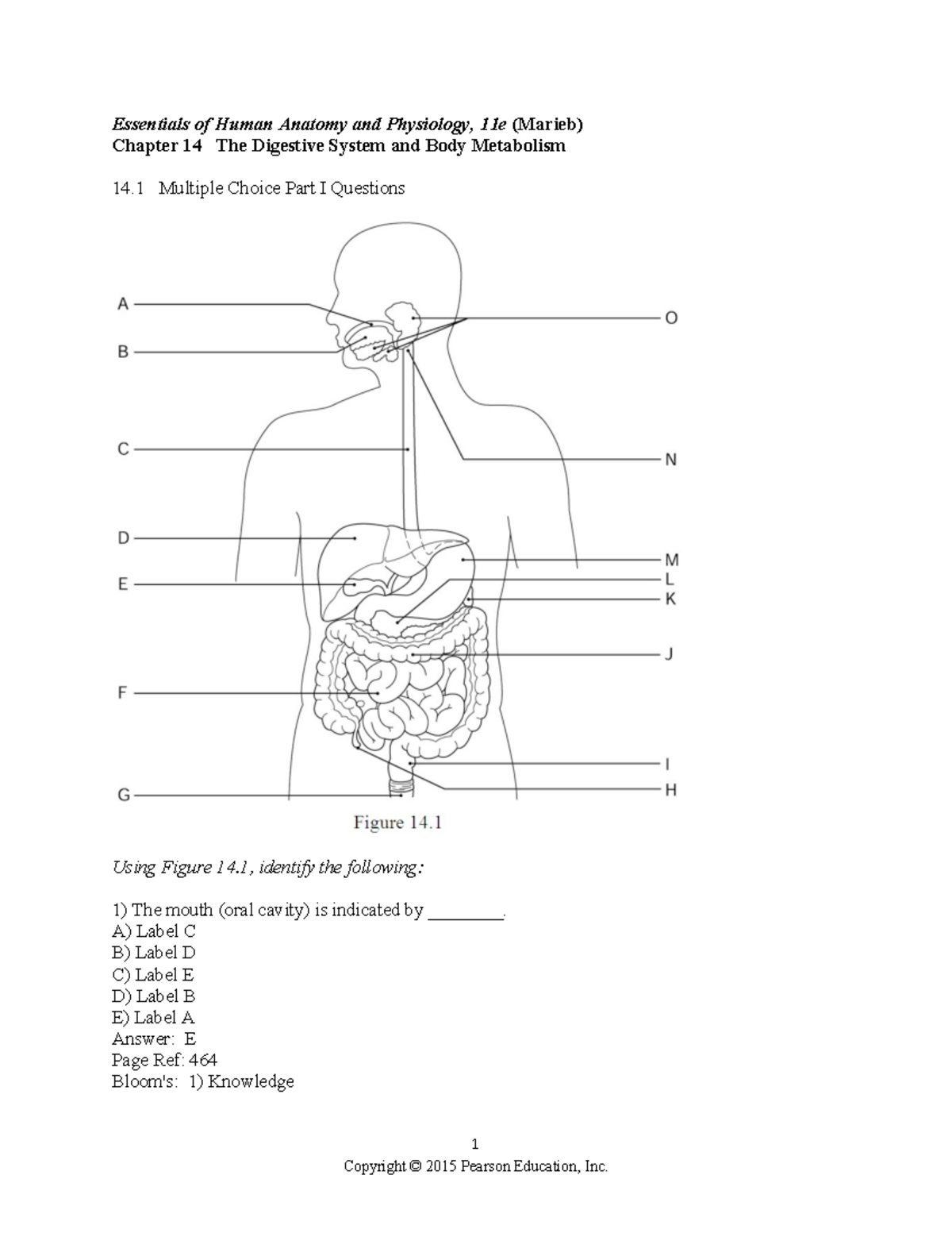 Chapter 14 - Digestive System & Body Metabolism MCQs for Study - Studocu