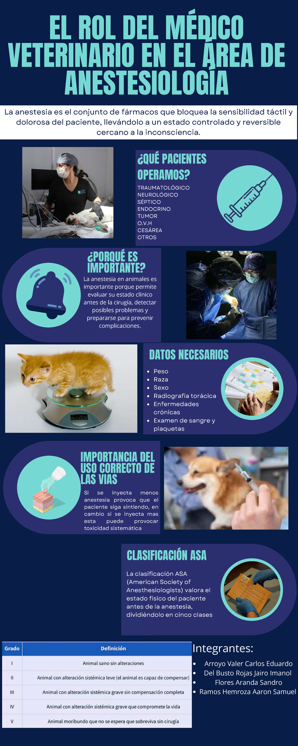 El Rol del Médico Veterinario en Anestesiología Veterinaria - Studocu